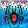 Spider Solitaire app icon