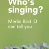Merlin Bird ID by Cornell Lab - Top News App by Cornell Lab of Ornithology | 4.9 Stars