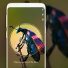 Insect identifier by Photo Cam - Top Entertainment App by MobilMinds applications | 4.1 Stars