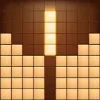 Wood Block Puzzle 3D app icon